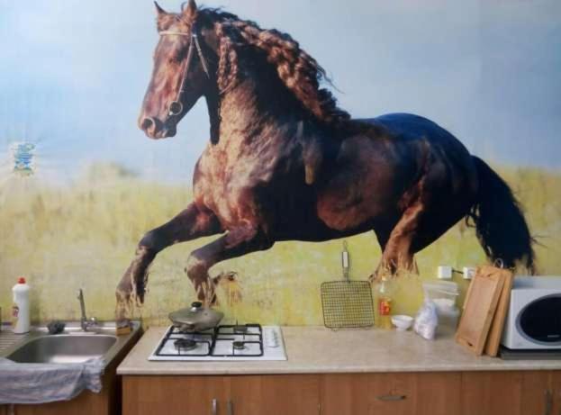 Отдых В Капшагае! Villa Kapchagay Luaran gambar
